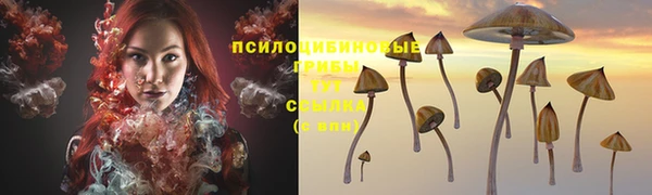 синтетический гашиш Алексеевка