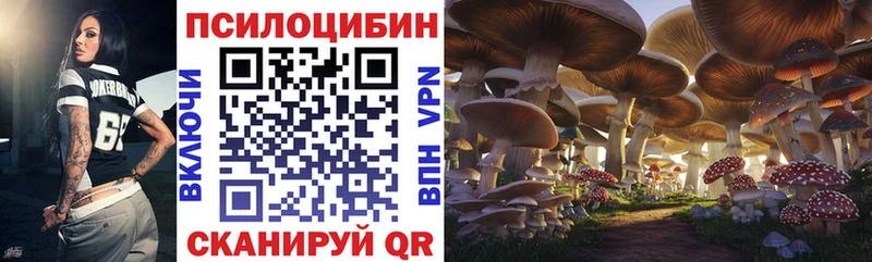 Купить закладки  Тбилисская  Галлюциногенные грибы Magic Shrooms 