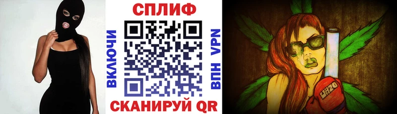 Конопля гибрид  Купить где  Тбилисская 